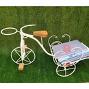 Bicicleta Decorativa de Ferro Rústica
